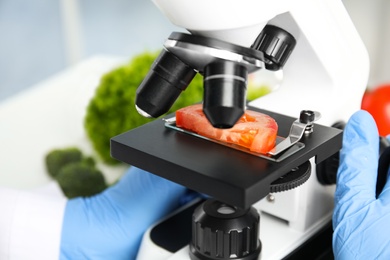Photo of Scientist inspecting slice of tomato with microscope in laboratory, closeup. Poison detection