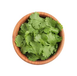 Bowl with fresh green coriander leaves isolated on white, top view