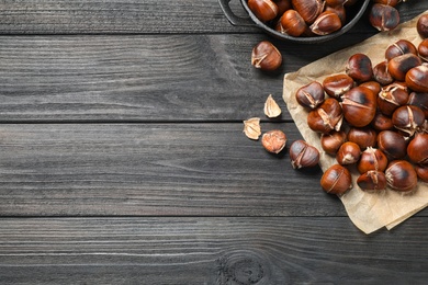 Tasty roasted edible chestnuts on black wooden table, flat lay. Space for text