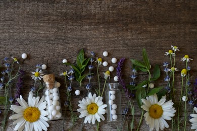 Bottles of homeopathic remedy and different plants on wooden background, flat lay. Space for text