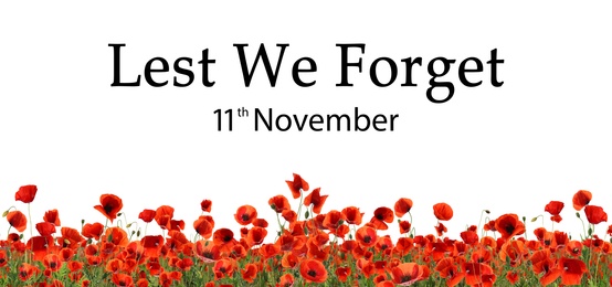Remembrance day banner. Red poppy flowers and text Lest We Forget 11th November on white background