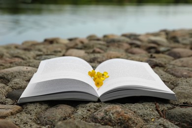 Photo of Open book with yellow flowers on stones near river