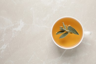 Cup of sage tea and green leaves on light grey table, top view. Space for text