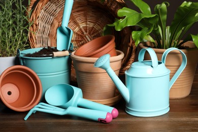 Photo of Beautiful plants and gardening tools on wooden table