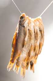 Dried fish hanging on rope against blurred background