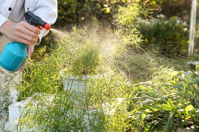 Photo of Woman spraying different potted plants with water in garden, closeup