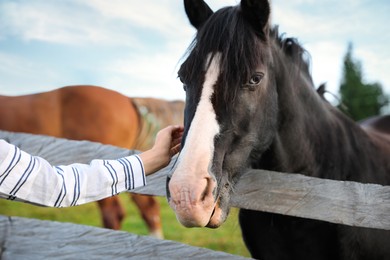Woman stroking beautiful horse near wooden fence outdoors, closeup. Lovely domesticated pet