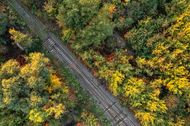 Image of Aerial view of beautiful green autumn forest with railway