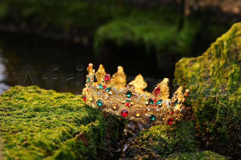 Beautiful golden crown on stones with green moss outdoors. Fantasy item