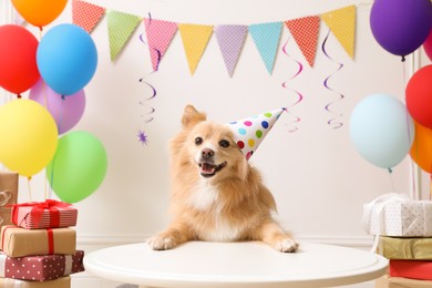 Cute dog wearing party hat at table in room decorated for birthday celebration