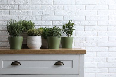 Photo of Different aromatic potted herbs on chest of drawers near white brick wall