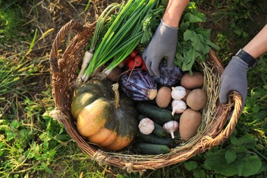 Photo of Man harvesting different fresh ripe vegetables on farm, top view