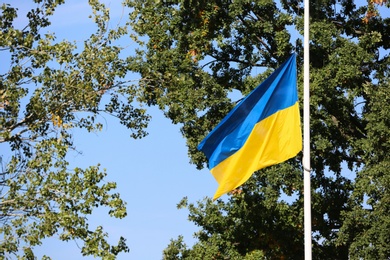 National flag of Ukraine in park on sunny day