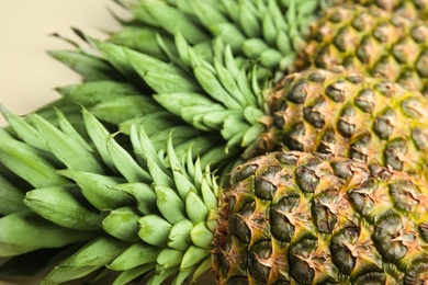 Photo of Fresh ripe juicy pineapples on beige background, closeup