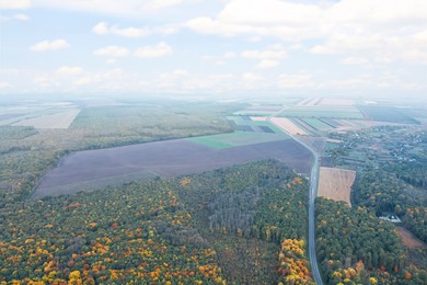 Aerial view of beautiful autumn forest and agricultural fields