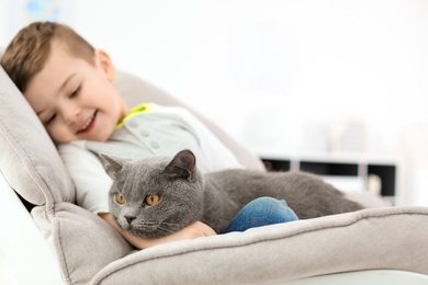 Photo of Cute cat with little child at home