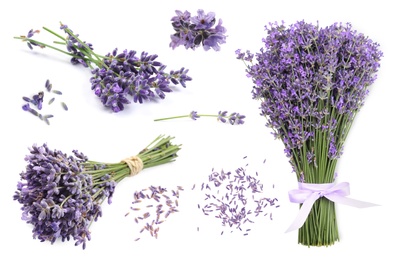  Set of lavender flowers on white background