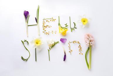 Words HELLO SPRING made of fresh flowers on white background, flat lay