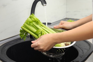 Photo of Woman washing fresh green celery in kitchen sink, closeup