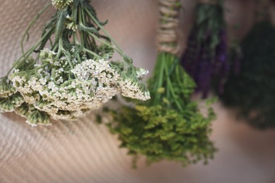 Photo of Bunches of different beautiful dried flowers hanging near beige wall, closeup