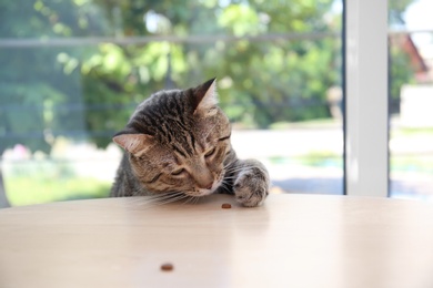 Cute cat reaching for treat on table at home