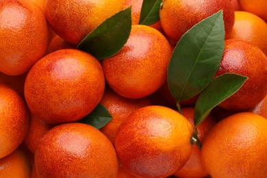 Pile of ripe sicilian oranges with leaves as background, closeup