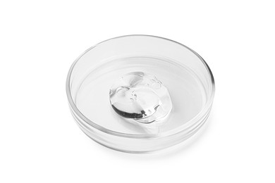 Petri dish with liquid isolated on white