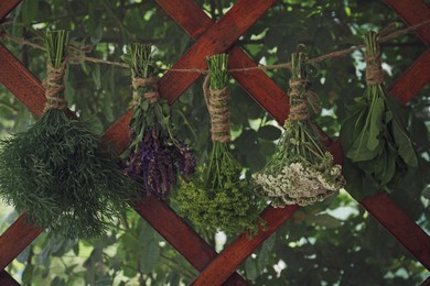 Bunches of different beautiful dried flowers hanging on rope