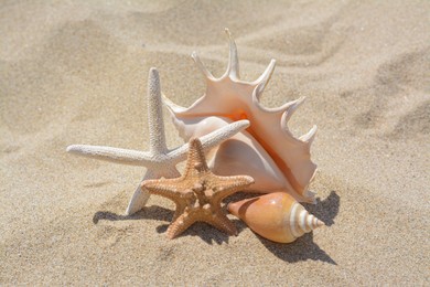 Photo of Beautiful starfishes and sea shells on sandy beach