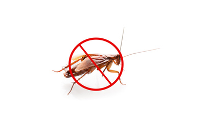 Cockroach with prohibition sign on white background. Pest control