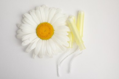 Applicator tampons and chamomile flower on white background, top view. Menstrual hygiene product