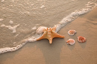 Wave rolling onto sandy beach with beautiful sea star and shells at sunset