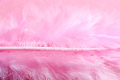 Closeup view of beautiful pink feather as background