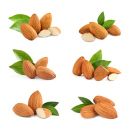 Image of Set with tasty almond nuts on white background