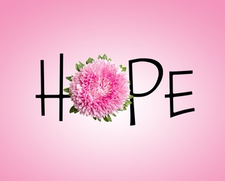 Word HOPE made with letters and beautiful aster on pink background