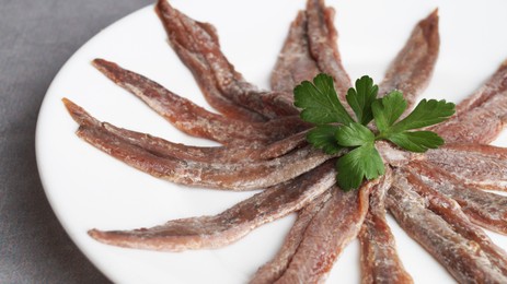 Photo of Plate with anchovy fillets and parsley on grey table, closeup