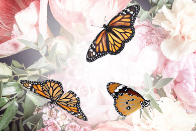 Beautiful monarch and plain tiger butterflies on flowers, closeup
