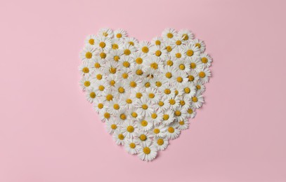 Heart of daisy flowers on pink background, top view