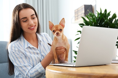 Photo of Young woman with chihuahua working on laptop at table. Home office concept