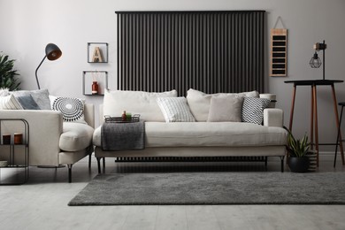 Comfortable sofas in stylish living room. Interior design