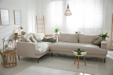 Stylish living room interior with comfortable grey sofa and beautiful pictures