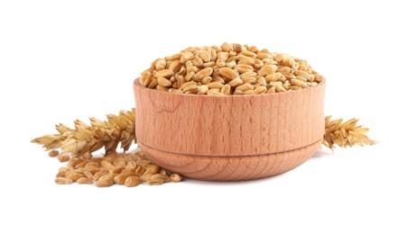 Wooden bowl with wheat grains and spikes on white background