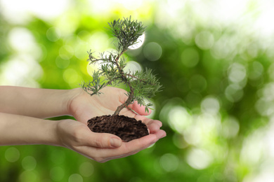 Woman holding small tree in soil on blurred green background, closeup. Ecology protection