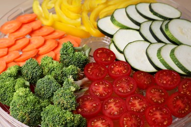 Cut vegetables on fruit dehydrator machine tray, closeup