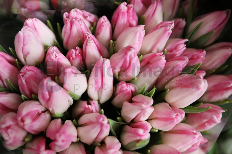 Beautiful pink tulips as background. Floral decor