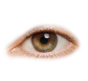 Image of Beautiful human eye isolated on white, closeup