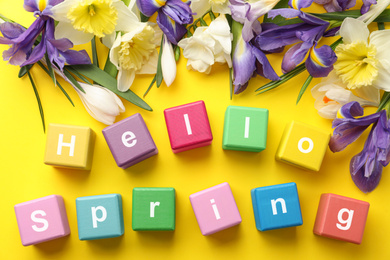 Colorful cubes with words HELLO SPRING and fresh flowers on yellow background, flat lay