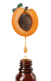 Apricot kernel oil dripping from fresh fruit half into glass bottle on white background