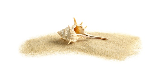 Photo of Beautiful sea shell and sand on white background