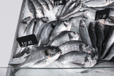 Photo of Different types of fresh fish on ice in supermarket